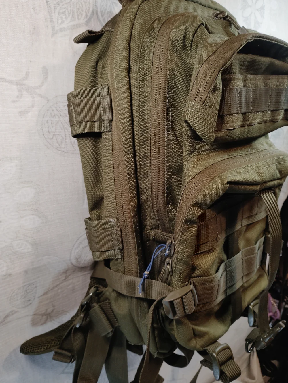 Condor rugged olive